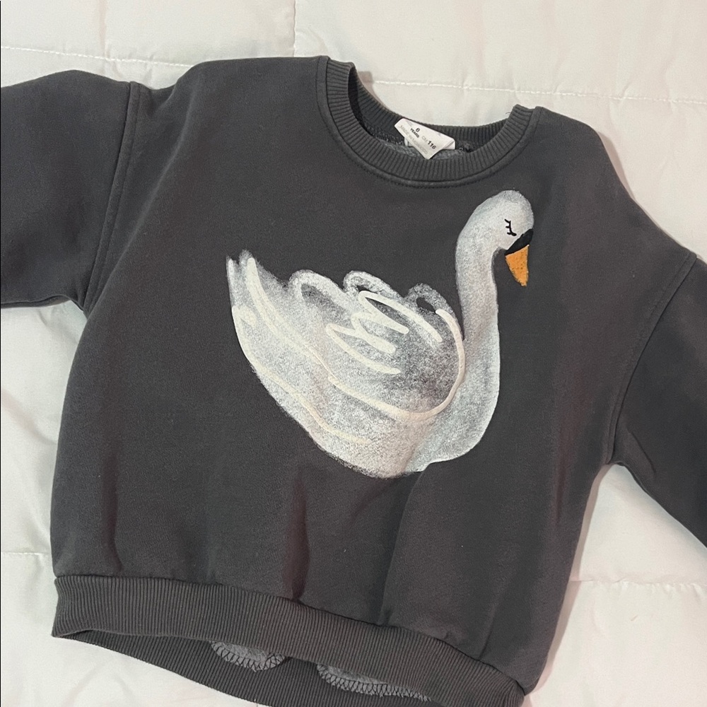 Zara Charcoal Swan Kids Sweatshirt